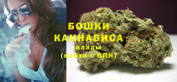 стафф Аркадак
