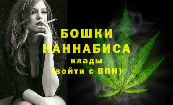 стафф Аркадак
