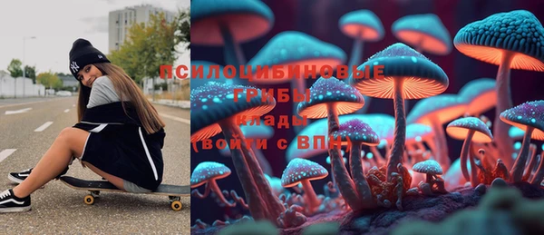 стафф Аркадак