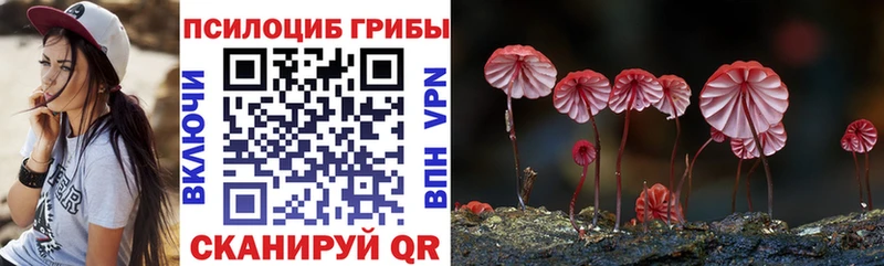 где можно купить   Северо-Курильск  Галлюциногенные грибы Cubensis 